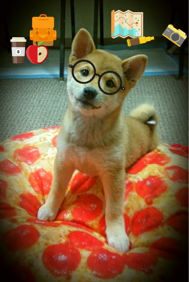 AYX体育官网-Aster阵容调整引发关注，aster队员介绍