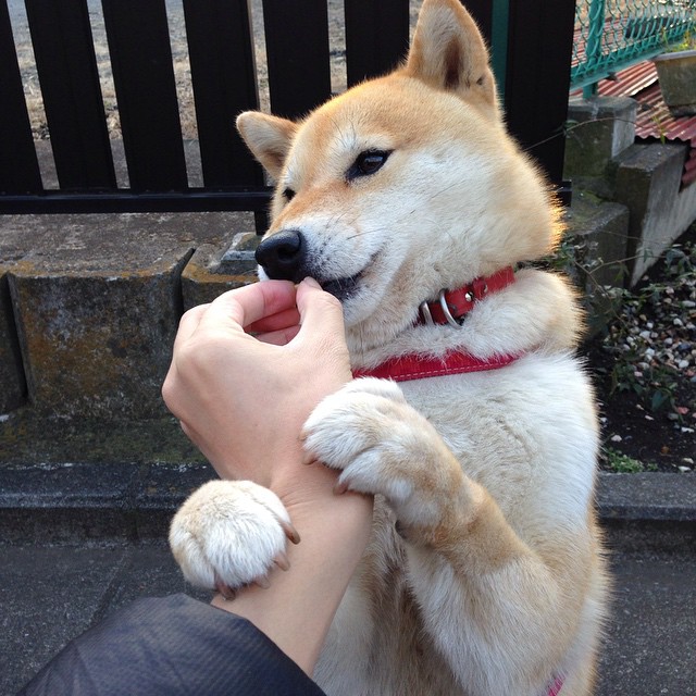 世界级球员们在比赛中展现出强大实力,世界级球星