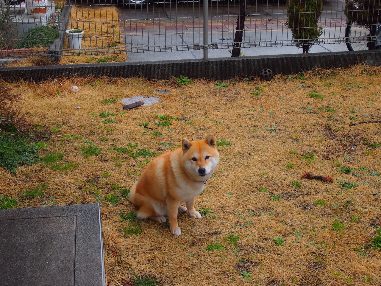 快船绝杀热火，关键一役中乔治末节爆发，快船的乔治怎么不上场