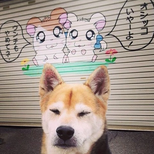 AYX GAMING-欧洲预选赛中的佳绩：一支弱队突然崛起！，欧洲预选赛比赛规则