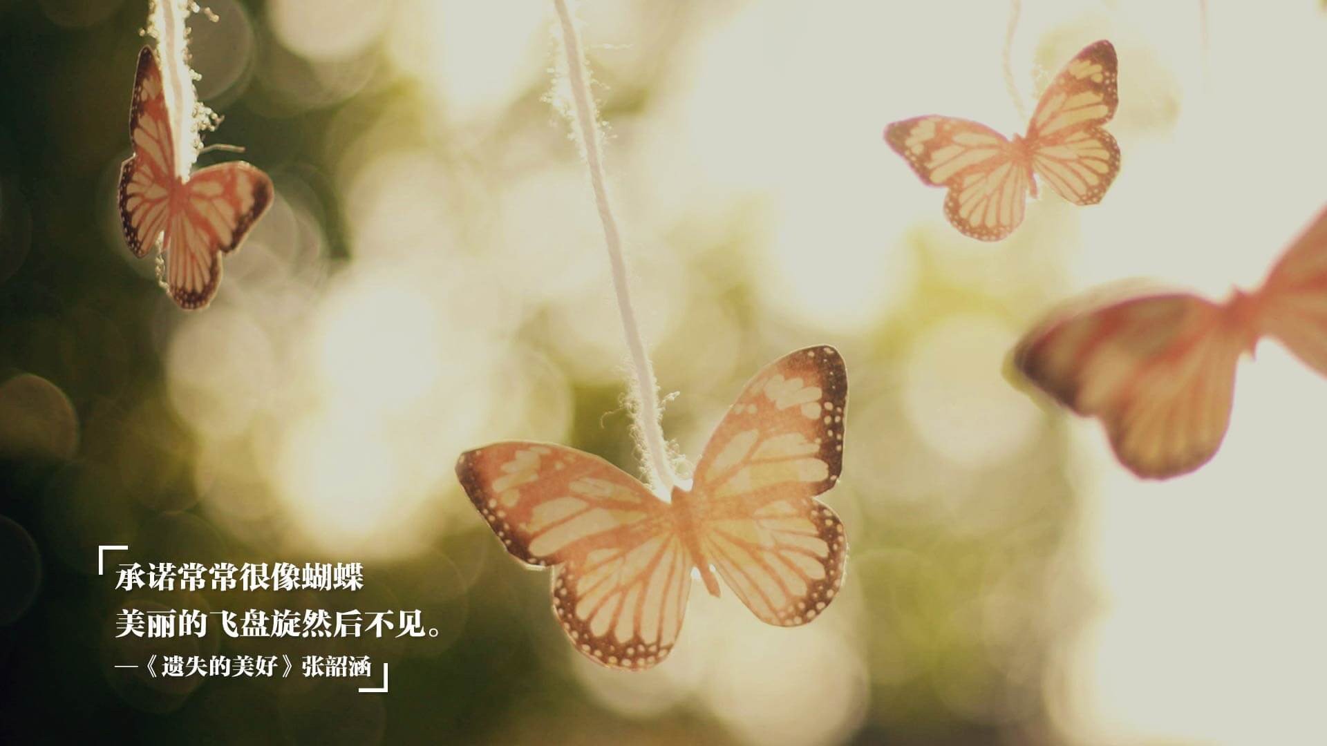 爵士球队攻守节奏协调发展,爵士篮球队