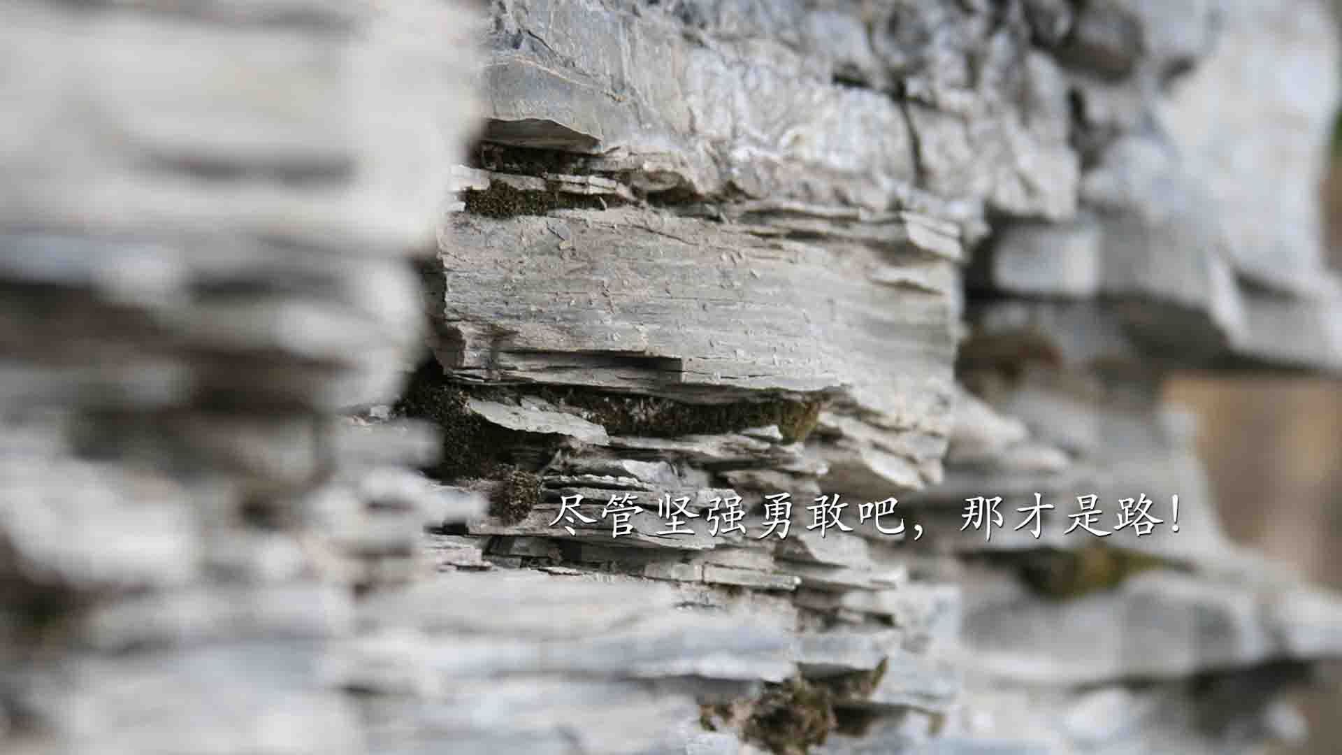 美因茨遭遇败仗,德甲保级形势不容乐观,美因茨换主教练了吗