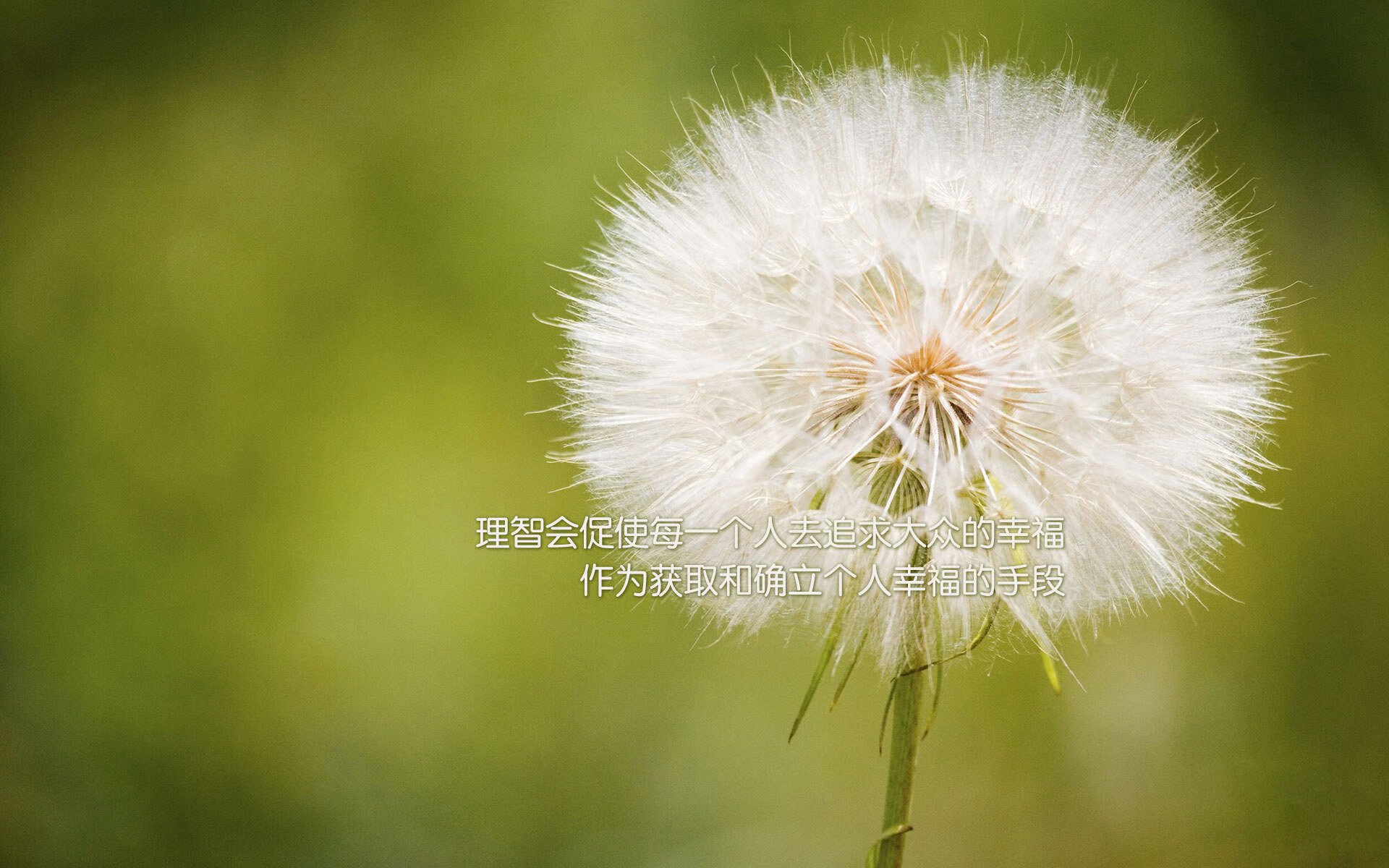 美国青年篮球人才辈出,美国青年篮球人才辈出是什么