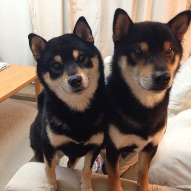 爱游戏官方网站-马略卡客场战平毕尔巴鄂，取得关键一分，马略卡岛百科