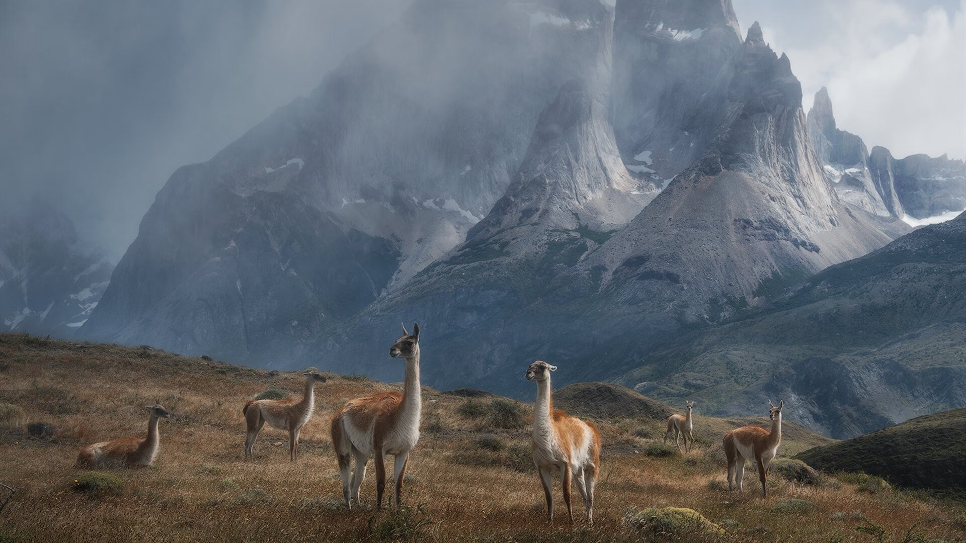 世界残疾人游泳锦标赛中国斩获五金,中国残疾人游泳运动女冠军视频