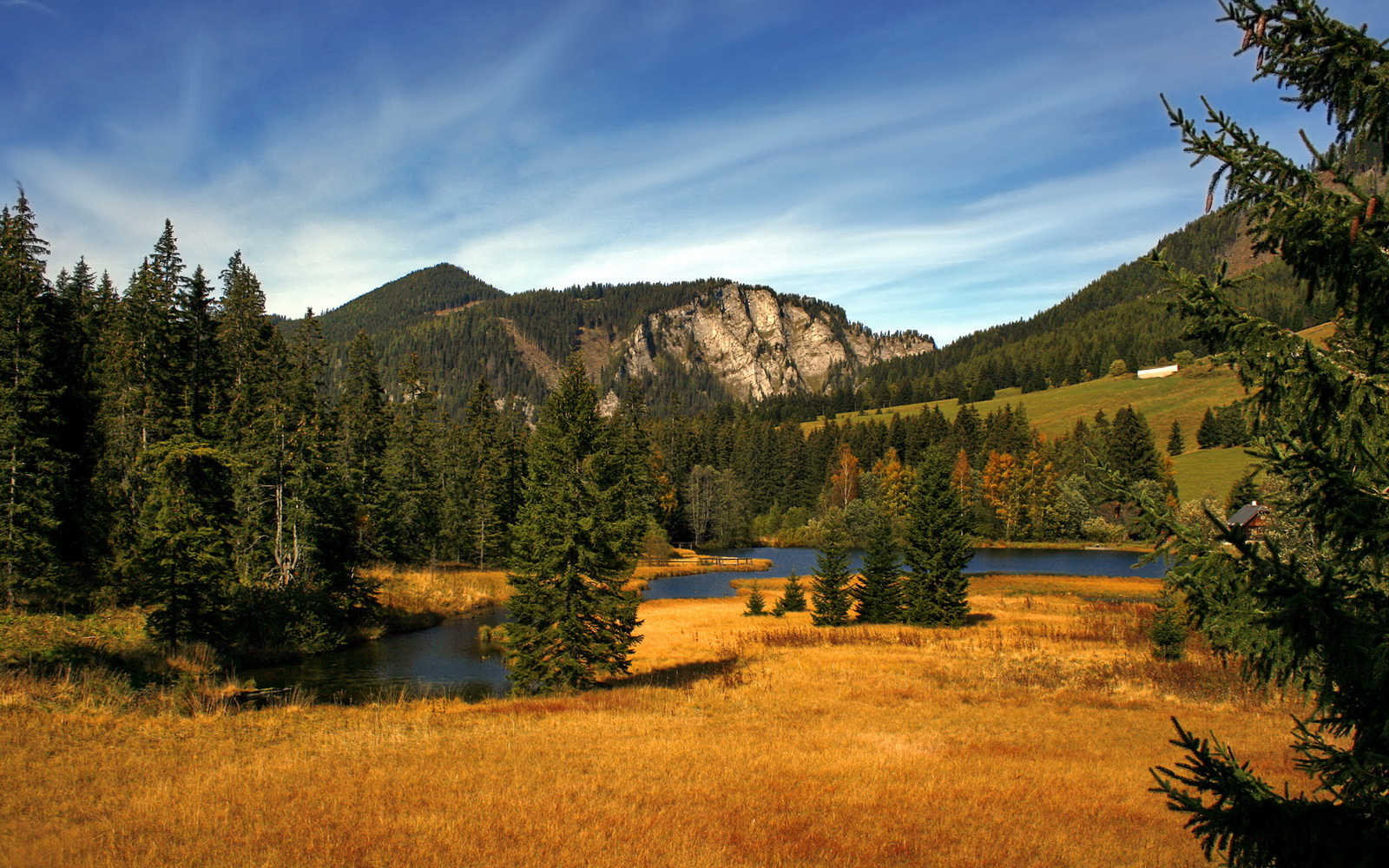 爱游戏官方-意甲超级杯争夺中小球队战术创新亮点，意大利超级杯和意甲