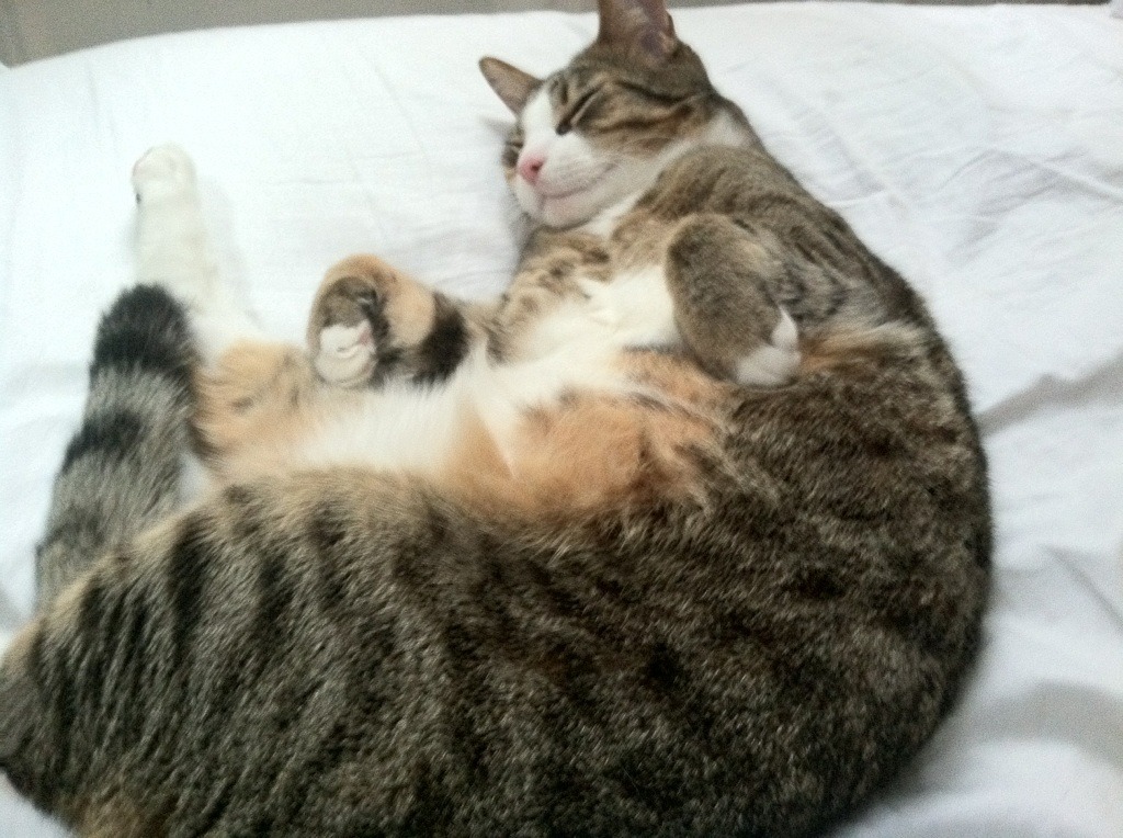 法甲球队利用大数据提升边路突破成功率,21-22赛季法甲用球