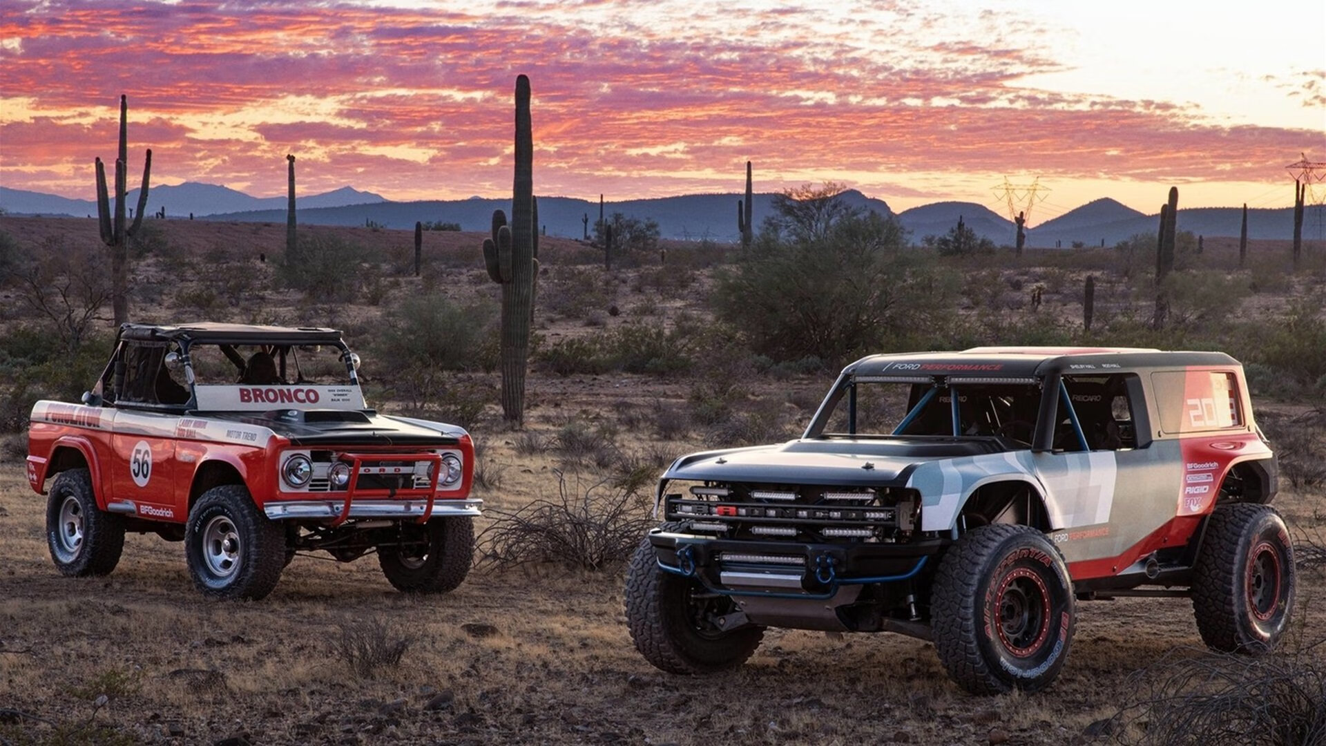 “金牛区城北体育馆:舞蹈和竞技的完美结合,运动舞蹈赛场热力四射”