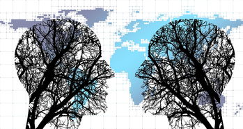 爱游戏体育官方网站-体育新闻中心协同多方建立体育内容风控机制，体育新闻机构