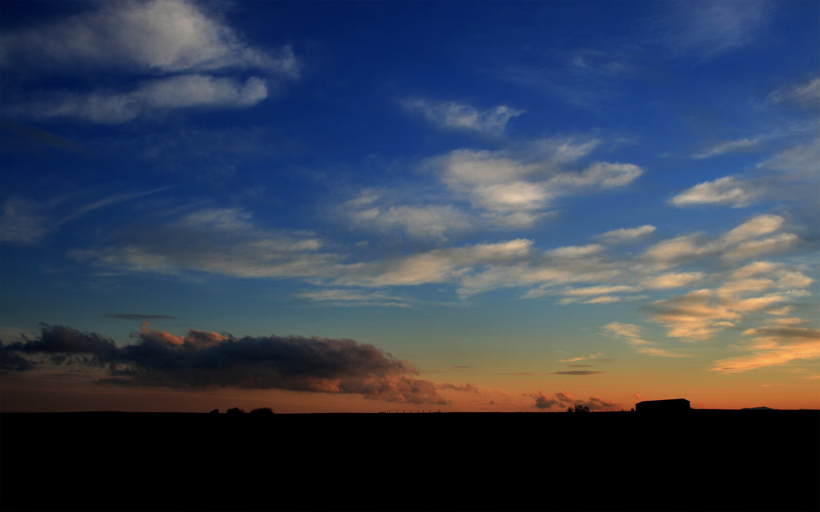 体育新闻中心参与国际体育数字版权合作项目,体育赛事版权