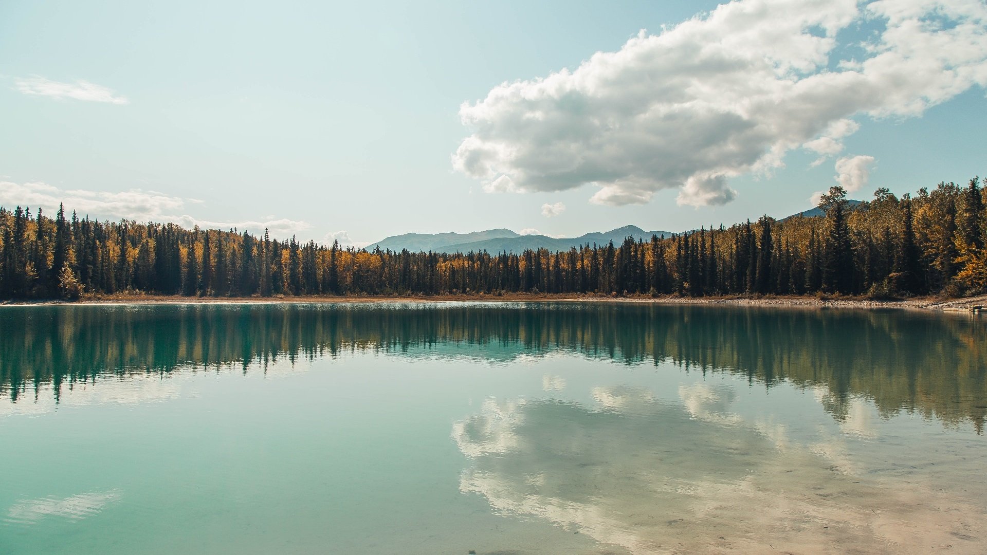 足球俱乐部青训投入力度加大,足球青训俱乐部运营