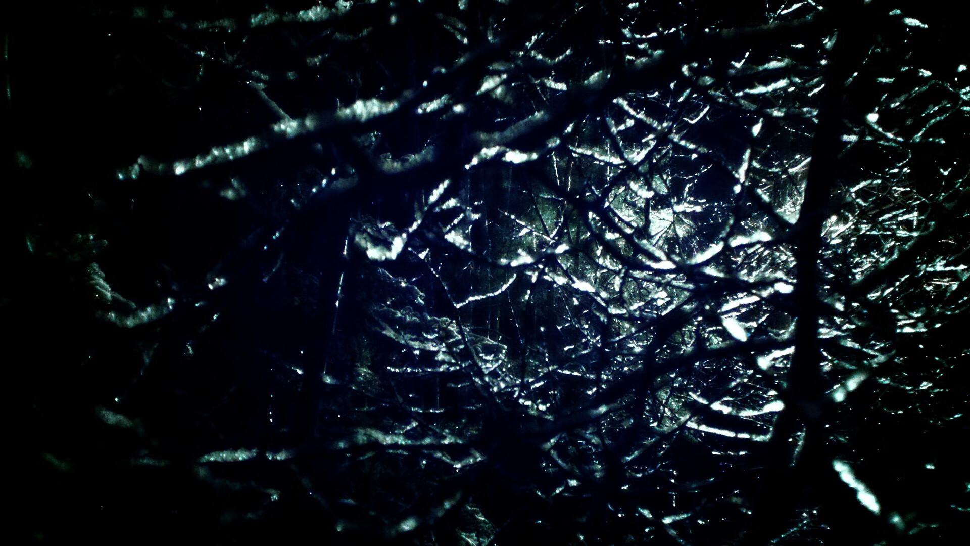 世界橄榄球日益全球化,哪些队伍将在全球赛场上崭露头角?,橄榄球世界排名第几