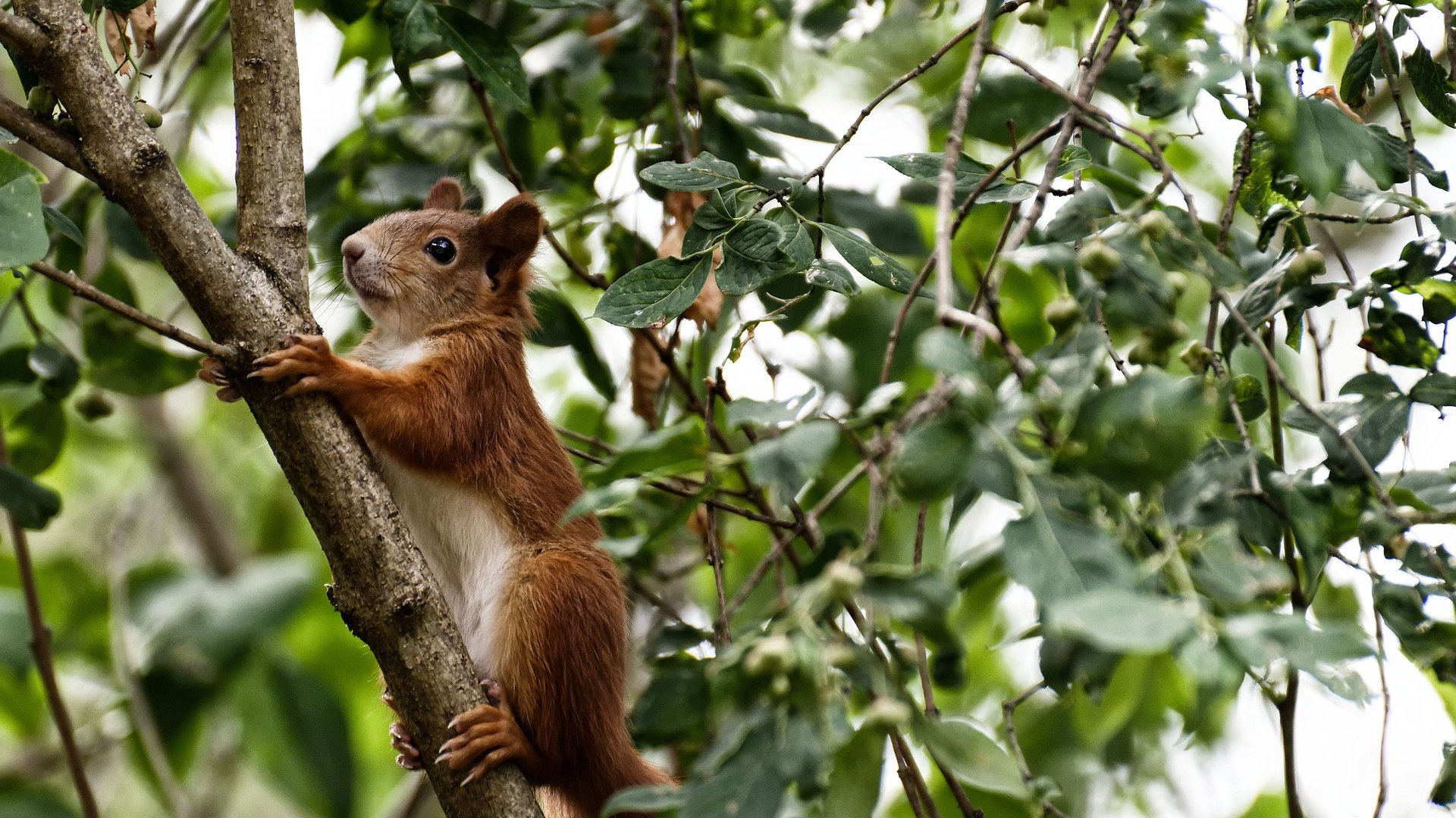 AIYOUXI.COM-骑士训练结束后安排反思环节总结日常得失，骑士训练场